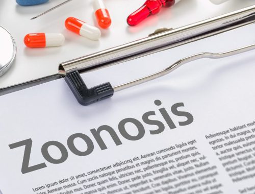 las-zoonosis-comunes-españa